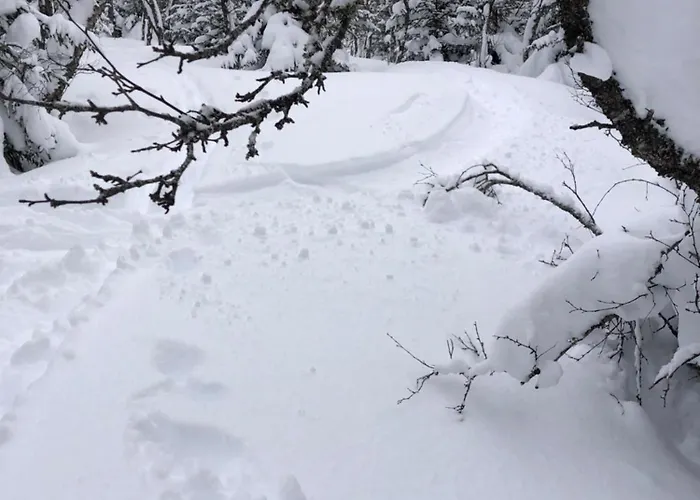 Casa vacanze Cozy Small House With Amazing View