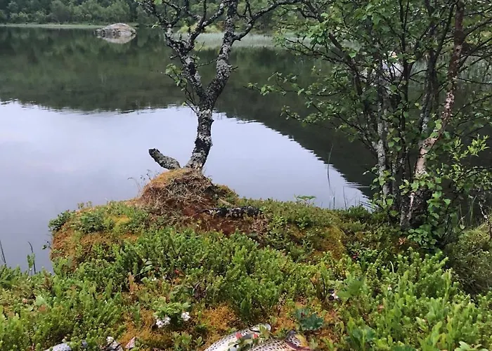 Cozy Small House With Amazing View Hennes