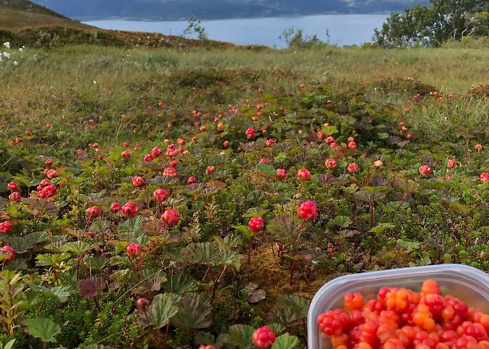 Cozy Small House With Amazing View