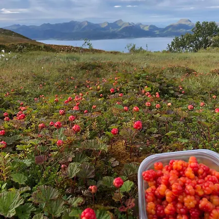 Cozy Small House With Amazing View