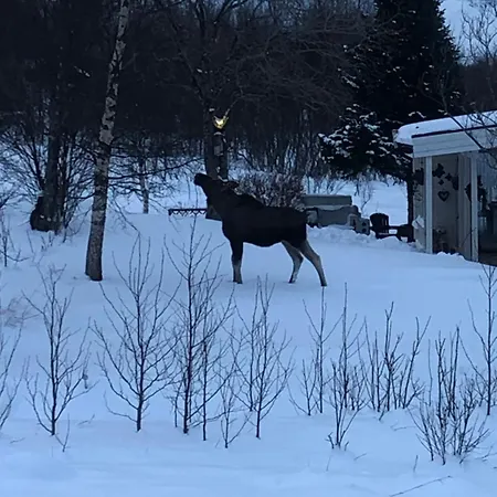 Cozy Small House With Amazing View Hennes