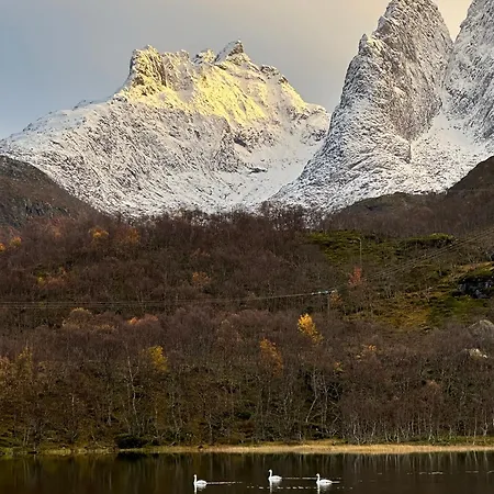 Cozy Small House With Amazing View